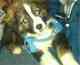 20130107-191651.jpg