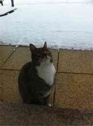 20130112-153021.jpg