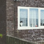 Brandschutzfenster für Tierhalter: So schützt du Hund und Katze zuverlässig vor Feuer, Einbruch und anderen Gefahren