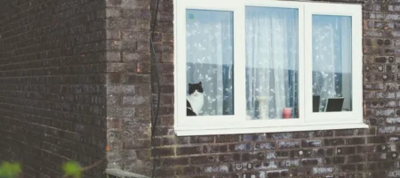 Brandschutzfenster für Tierhalter: So schützt du Hund und Katze zuverlässig vor Feuer, Einbruch und anderen Gefahren